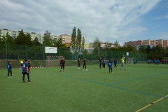 sulcak_plzen-13