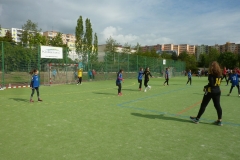 sulcak_plzen-14