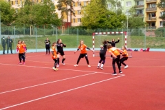 sulcak_plzen-3