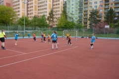sulcak_plzen-5