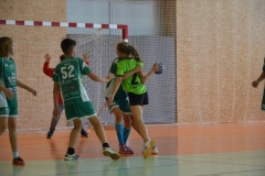 DSC_1633[1]